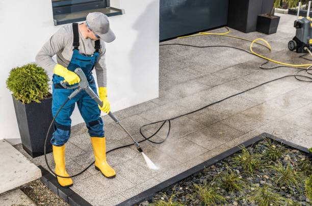 Best Affordable Pressure Washing  in Placitas, NM